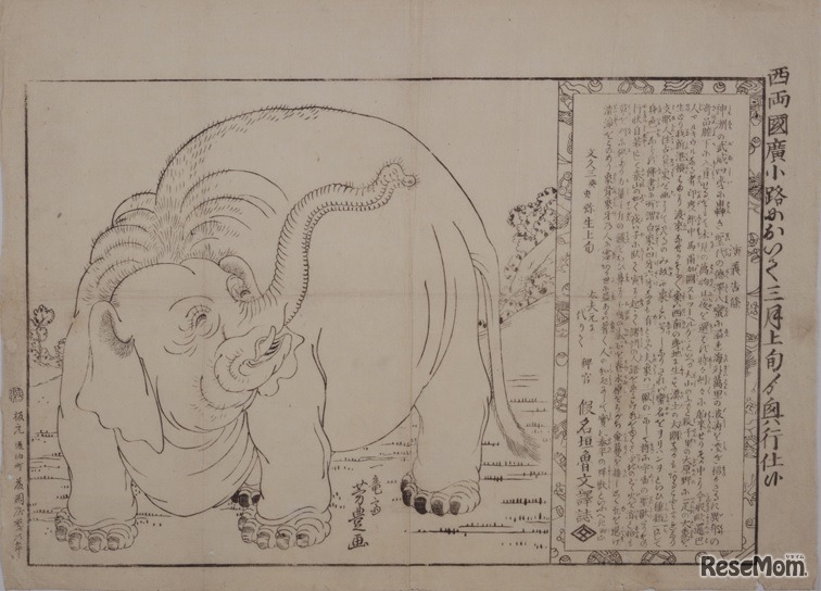 両国広小路興行 象之図 歌川芳豊（初代）／画