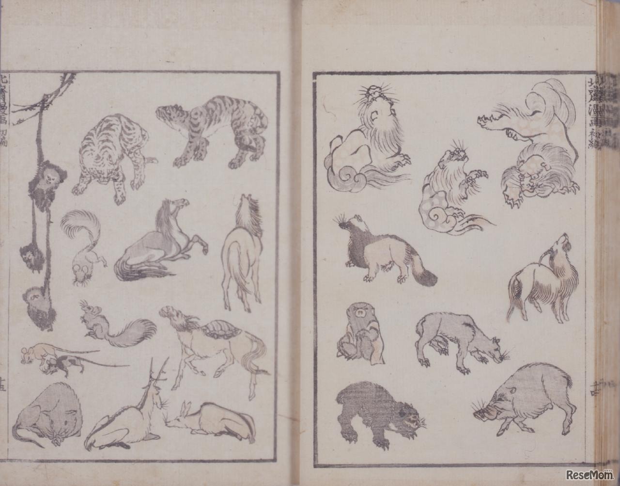 北斎漫画 葛飾北斎／画（資料＋複製めくる展示）