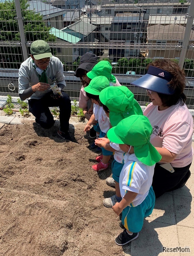 「屋上菜園×幼児教室」で野菜の収穫体験を”シェアリング”