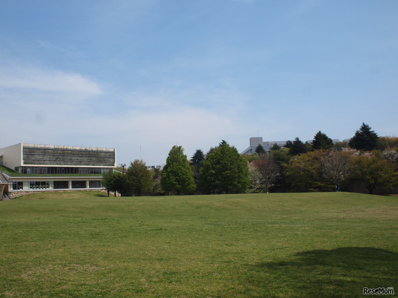 埼玉県営和光樹林公園（芝生広場）