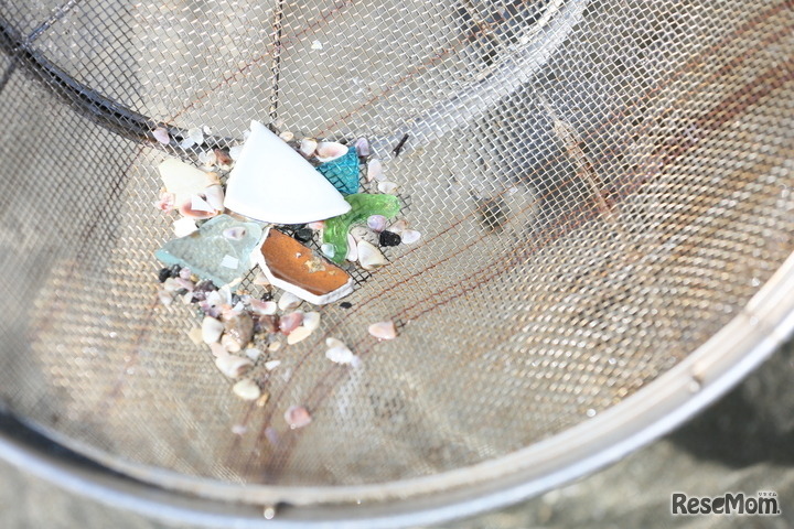 砂利に混ざったプラスチック片