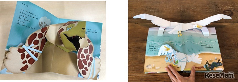 左／鼻にプラスチックが刺さった亀、右／プラスチックに絡まって飛び立てない海鳥