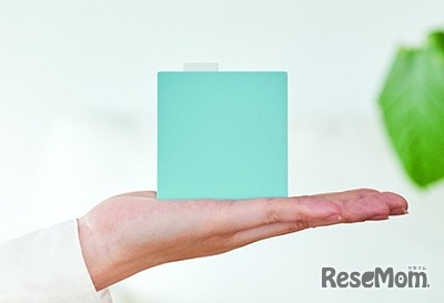 手のひらサイズ