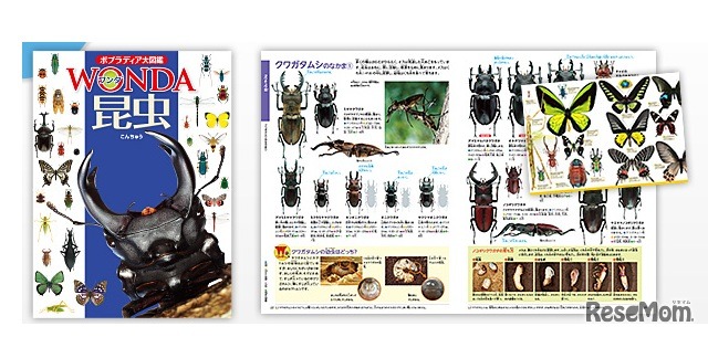 ポプラディア大図鑑WONDA