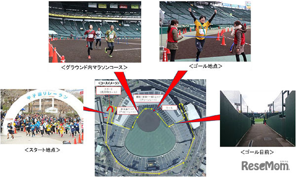 「阪神沿線駅交流甲子園リレーラン」コース