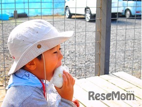 ご当地おにぎりマイスターチャレンジ（イメージ）