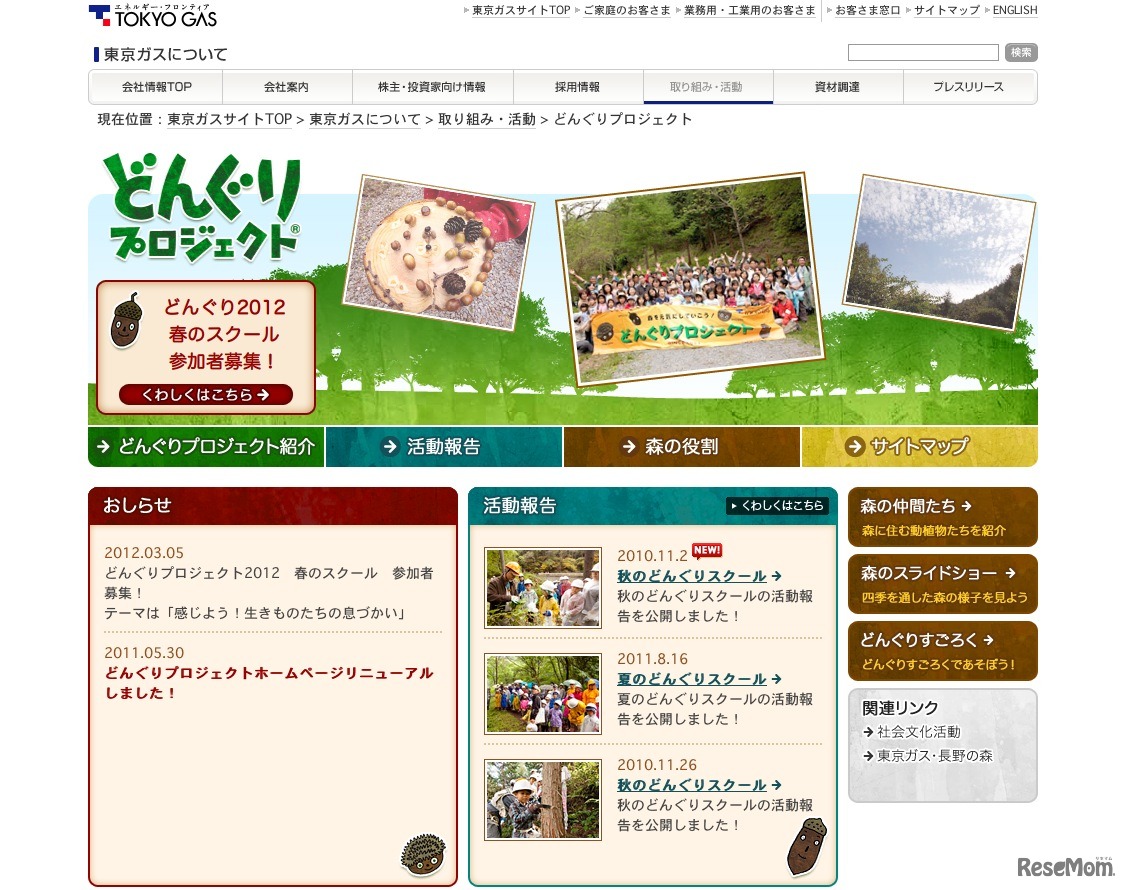 どんぐりプロジェクト