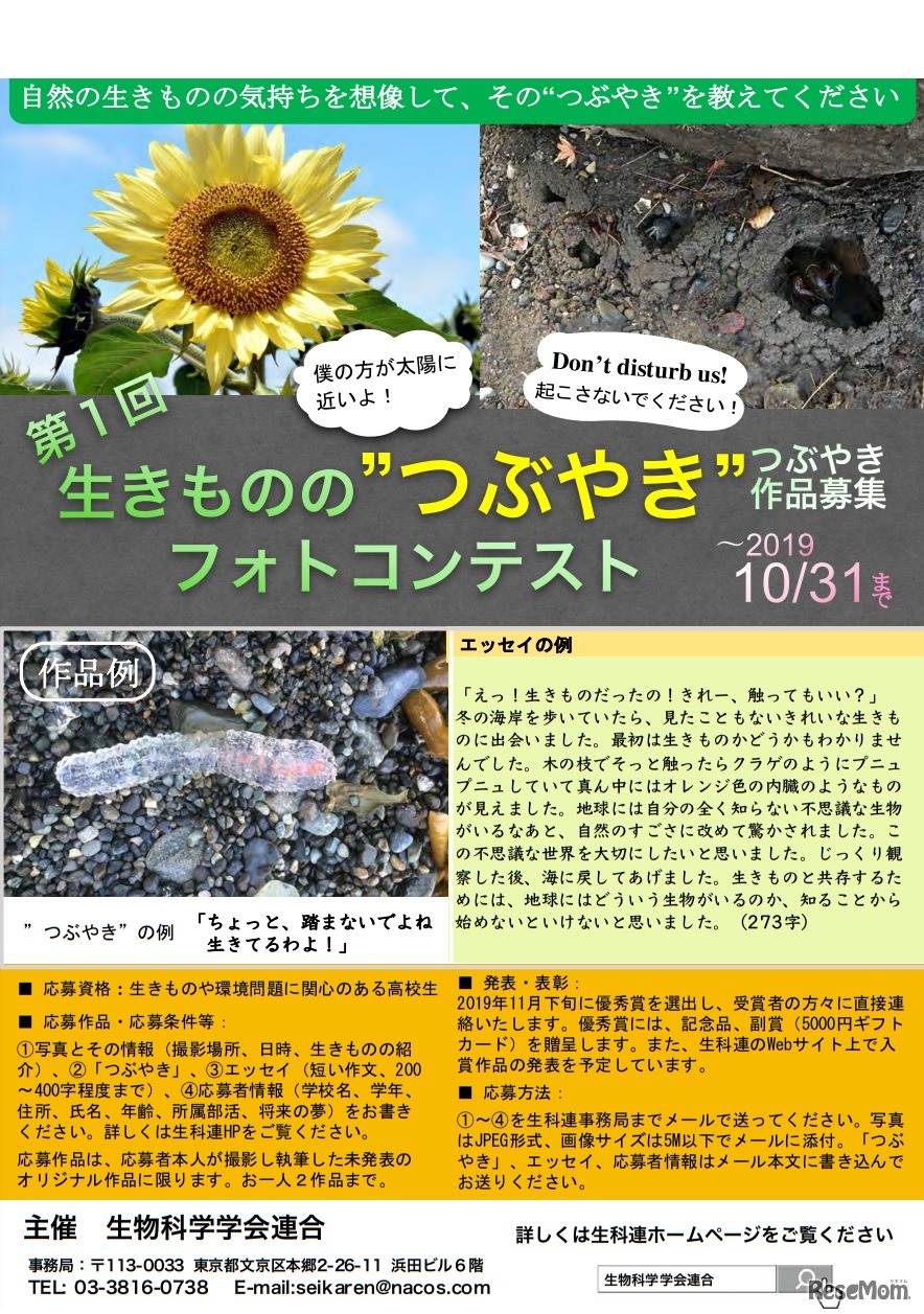 生き物のつぶやきコンテスト