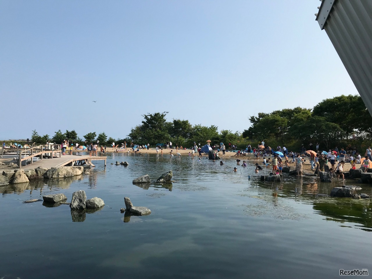 蛇の目ビーチの観察会（イメージ）