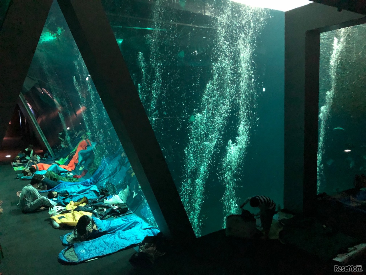 親子宿泊ナイトツアー（イメージ）