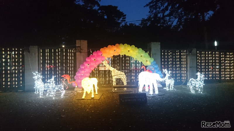 ちょっとおでかけ秋の夜長の自然文化園