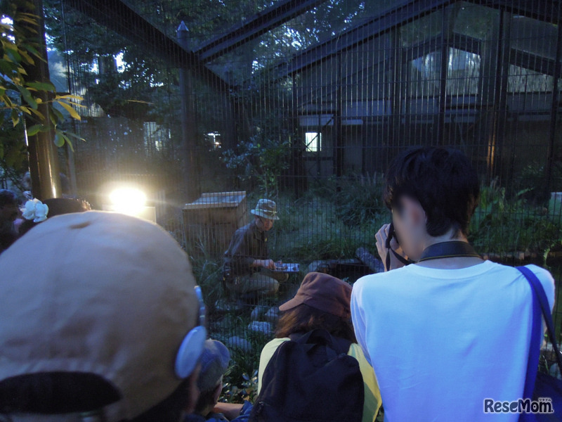 飼育係のいきものガイド・夜編