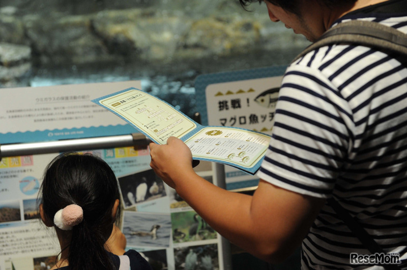 クイズラリー「挑戦！マグロ魚ッチング」