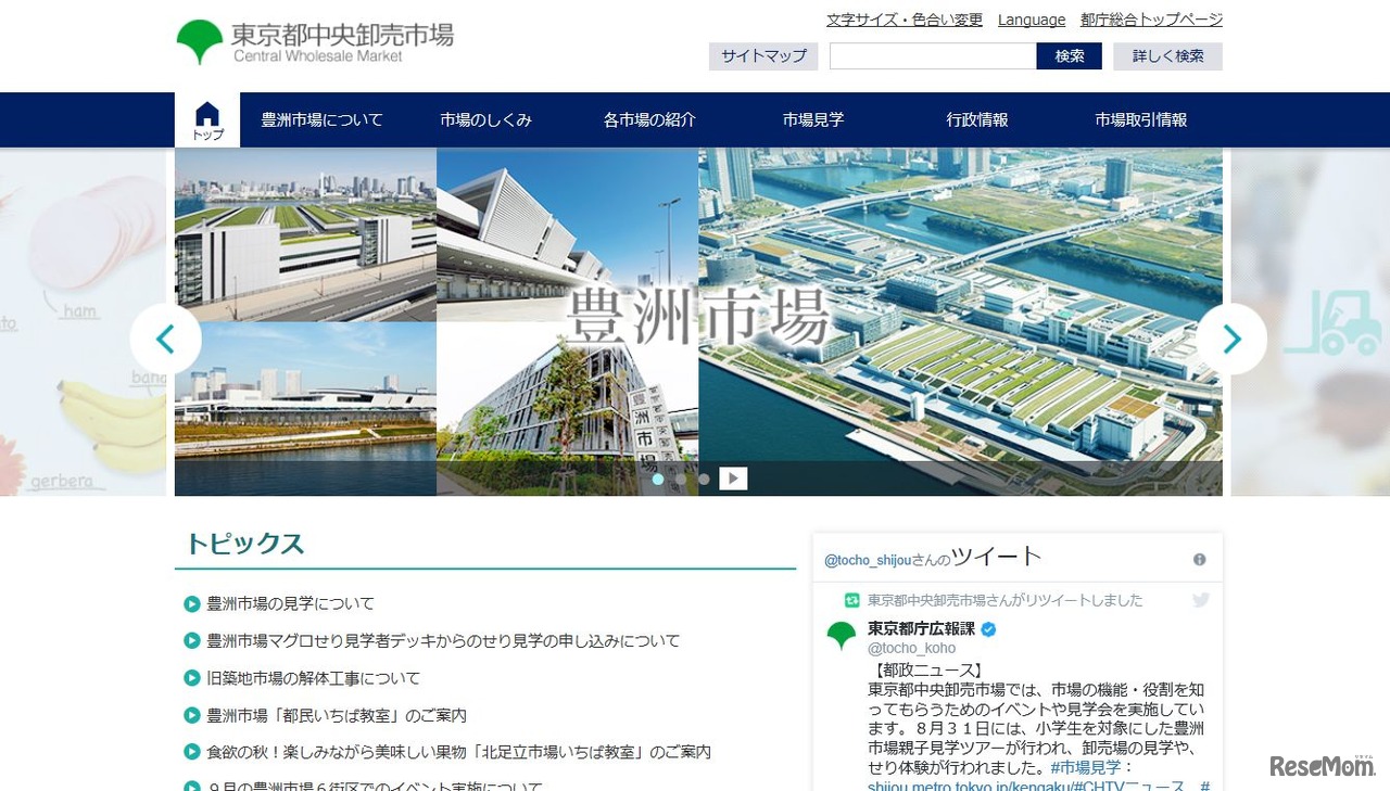 東京中央卸売市場