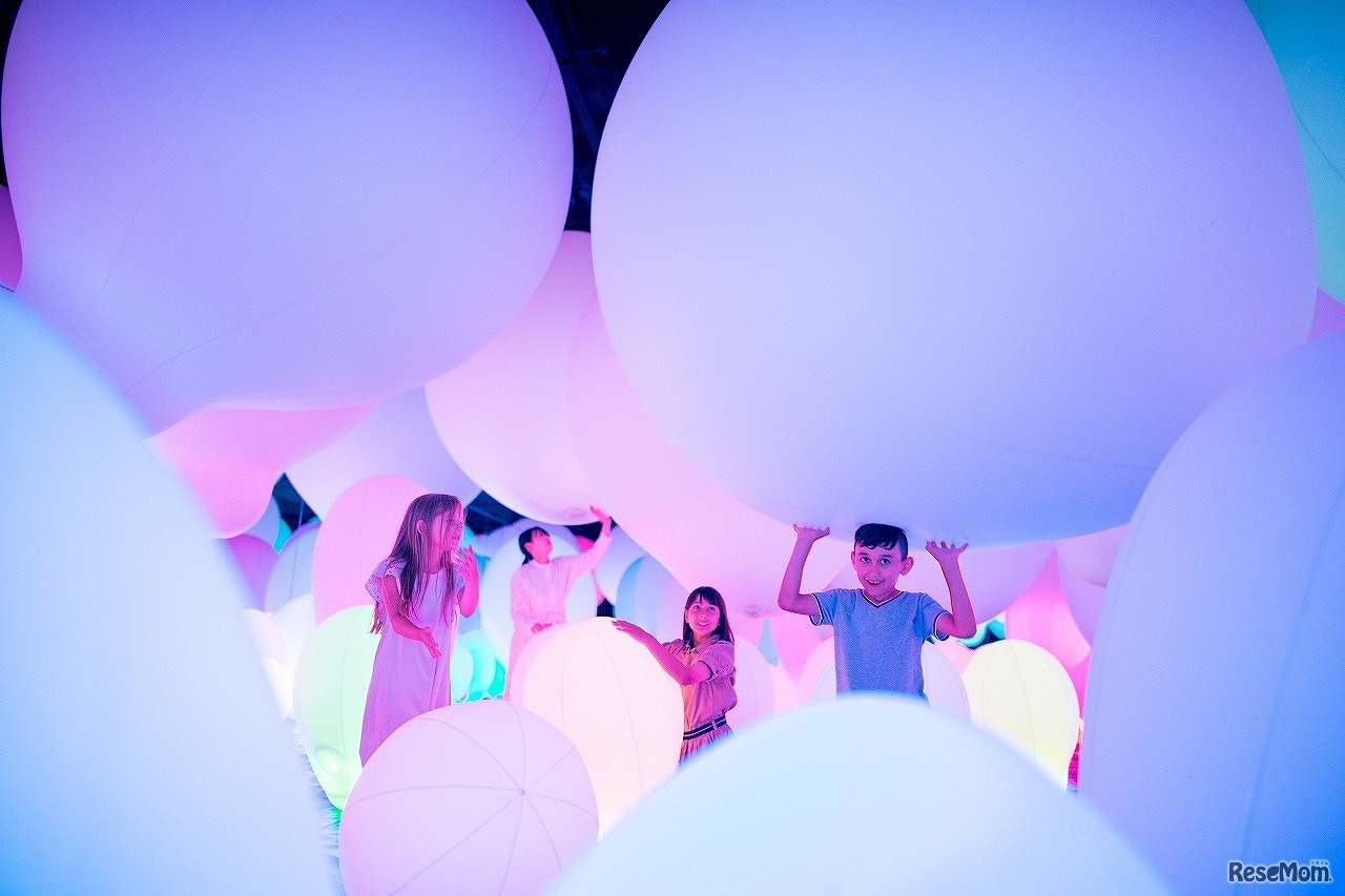 光の森でオーケストラ