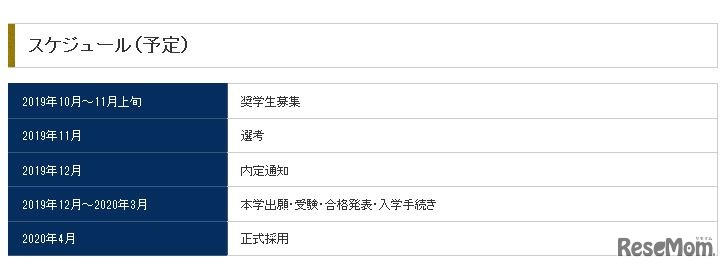 スケジュール（予定）