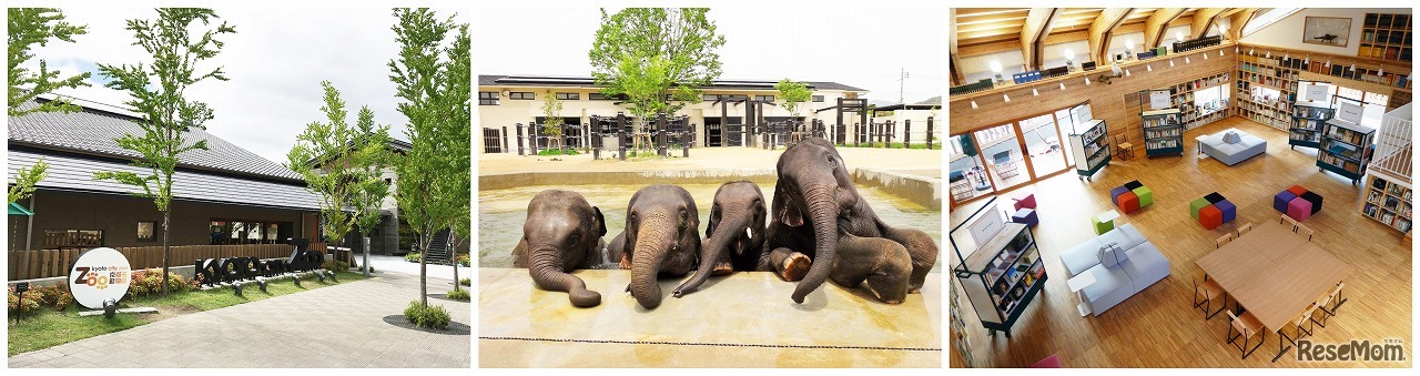 京都市動物園（園内イメージ）