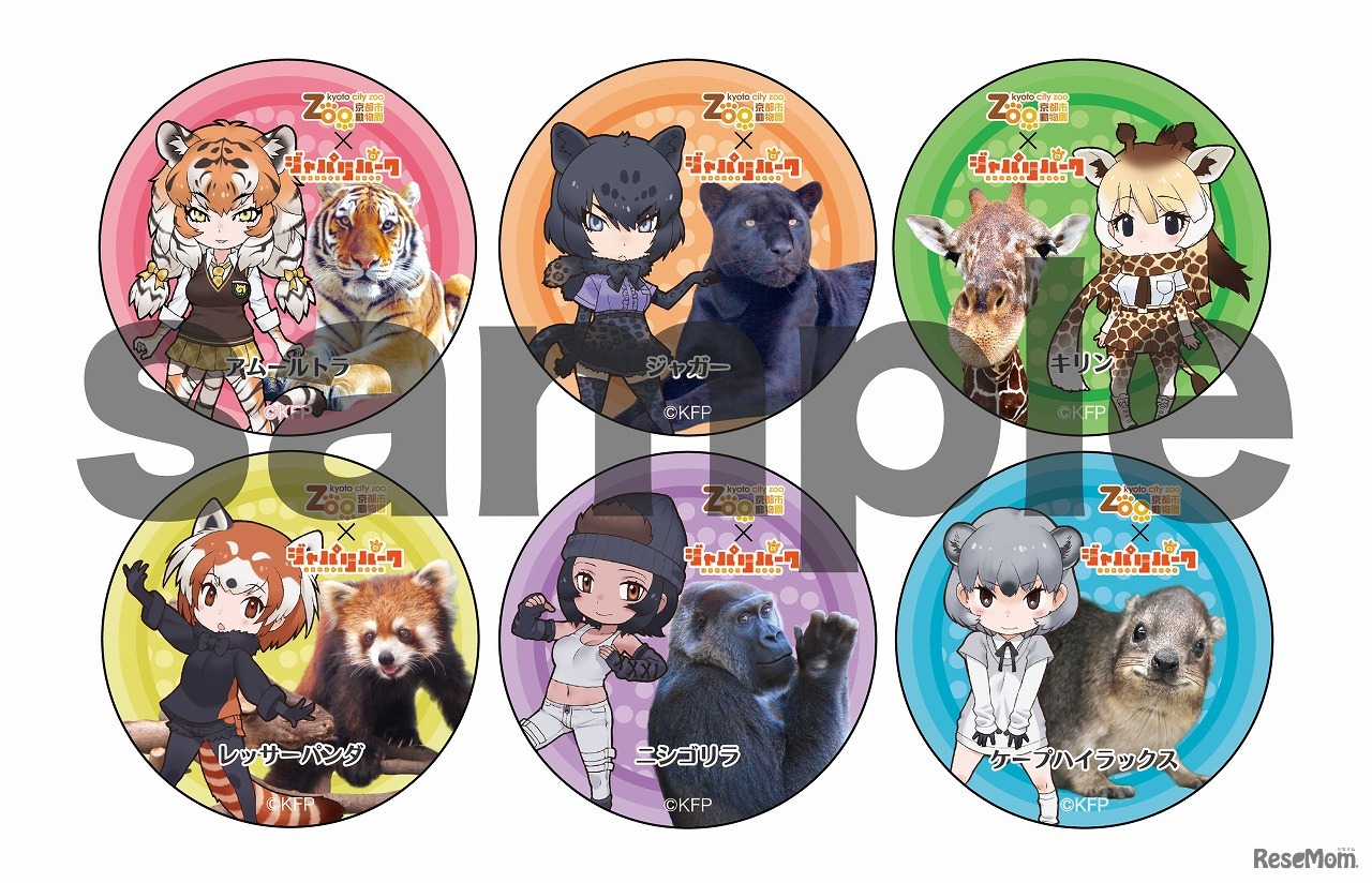 京都市動物園の缶バッジ　(c) けものフレンズプロジェクト