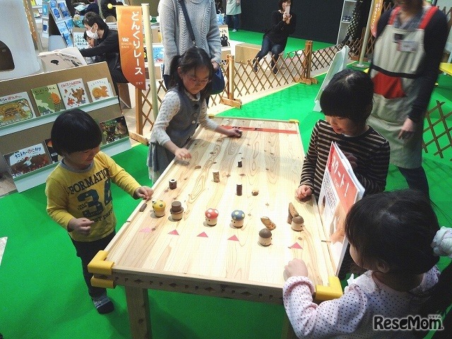 どんぐりレース