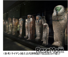 ライデン国立古代博物館の常設展示のようす