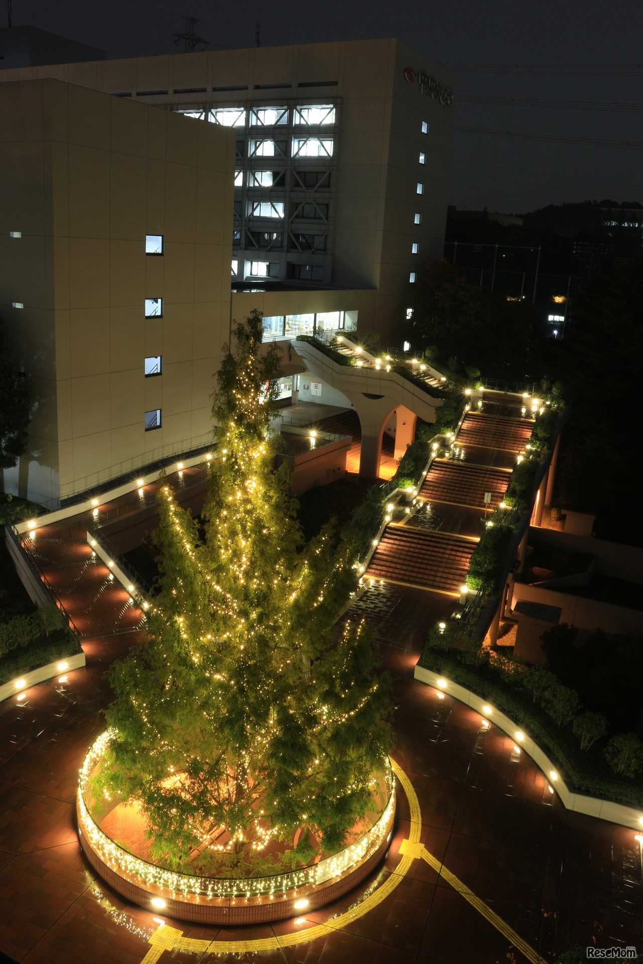 中央大学　多摩キャンパス