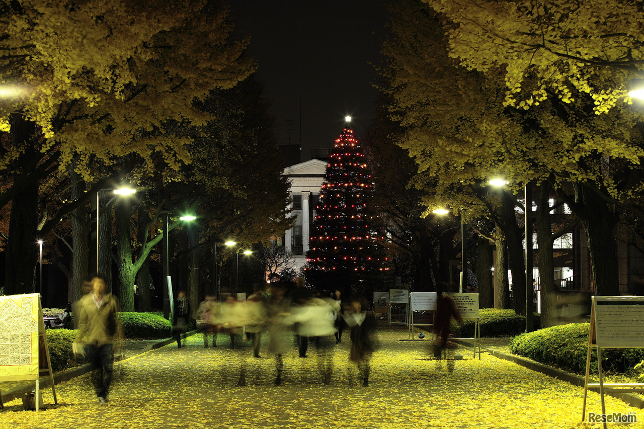 青山学院大学　青山キャンパス