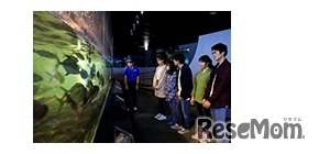 水族館探検