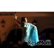 「Flamenco Cielo Azul（フラメンコ　シエロ　アズール）」