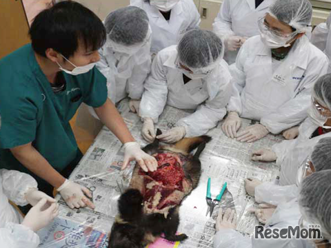 イベント実習（イメージ）