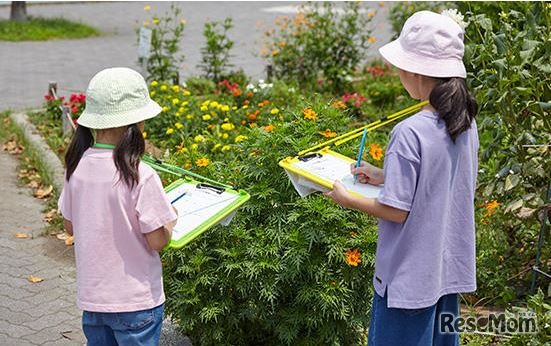 かんさつ学習ボード（使用イメージ）