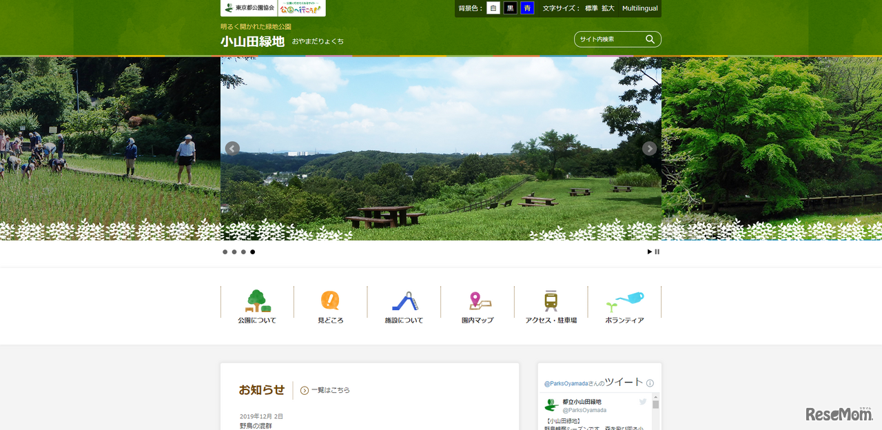 都立小山田緑地