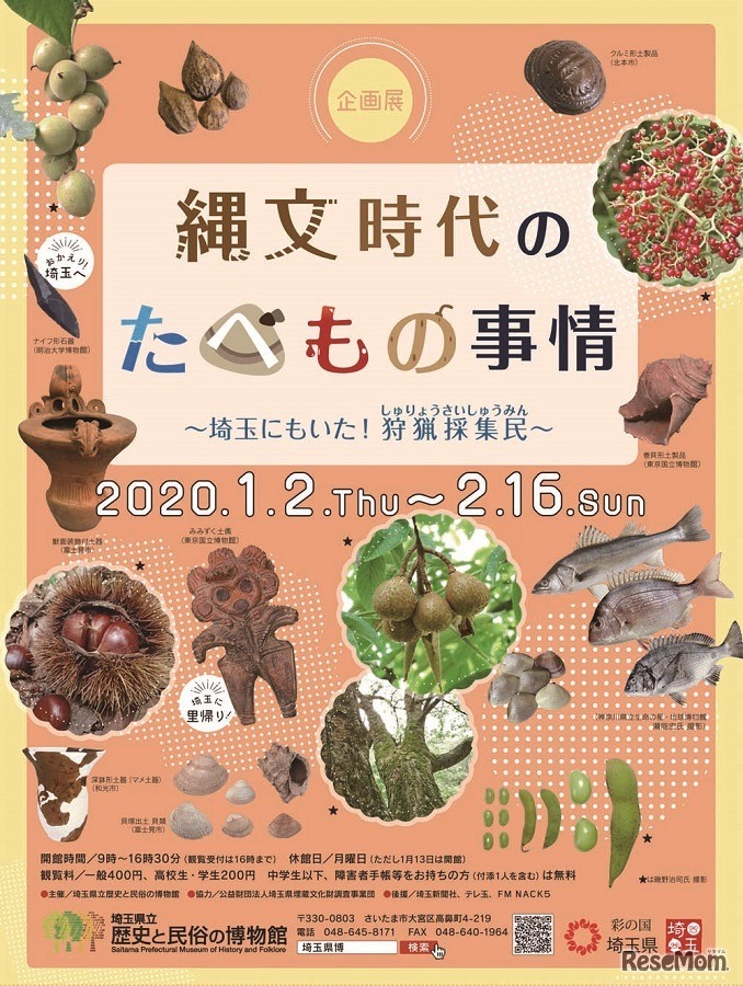 「縄文時代のたべもの事情」パンフレット表