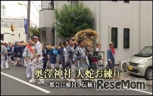 奥澤神社大蛇お練り 都会に根付く伝統行事