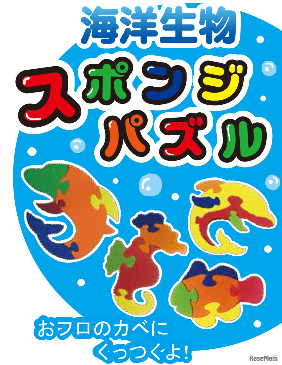 海洋生物スポンジパズル
