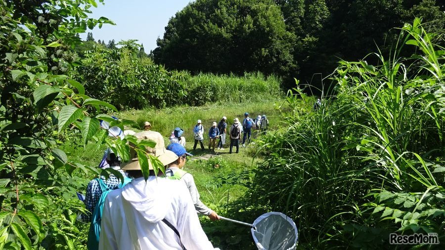 「科学の泉」過去のようす