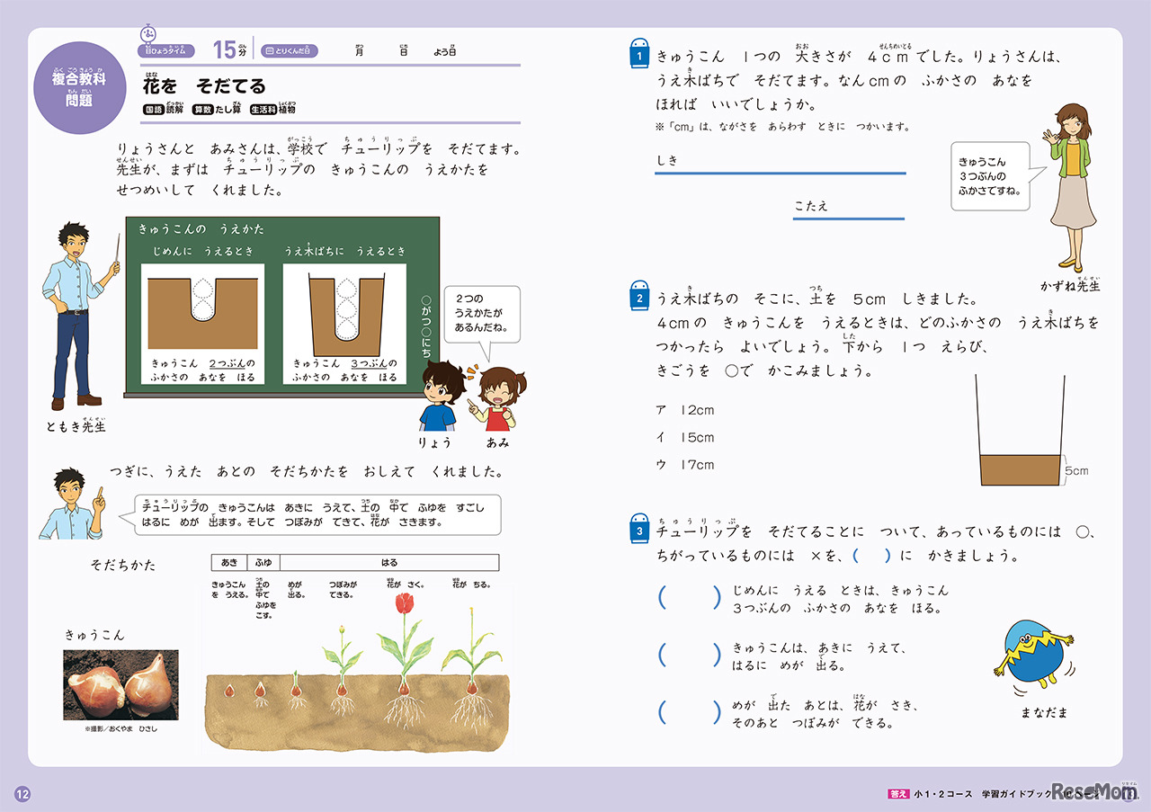 小学校2年生の複合教科問題の一例