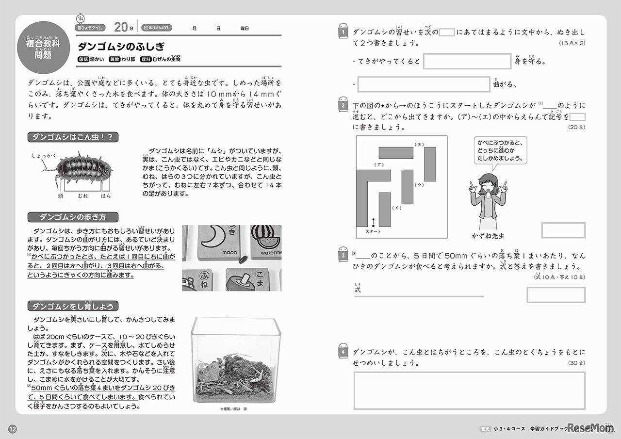 小学校4年生の複合教科問題の一例