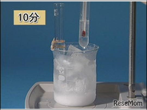 デジタルビデオクリップ 小学校／中学校理科シリーズ