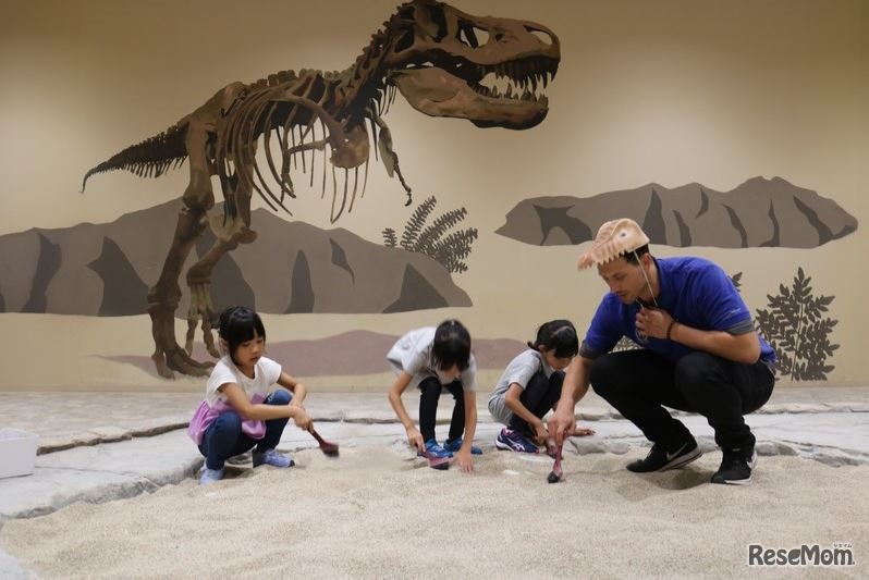 写真はイメージ