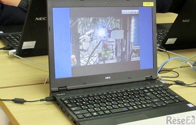 実際にミニトマトを収穫するロボットの映像を見ながら、どんな動きになるのかを観察