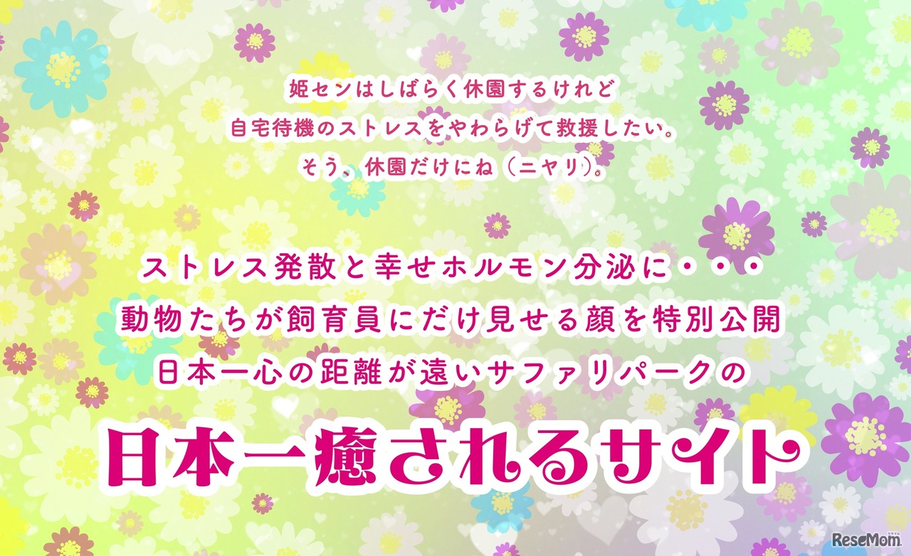 日本一癒されるサイト