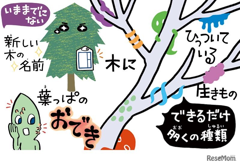 特設サイトコンテンツ