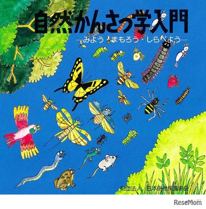 特設サイトコンテンツ