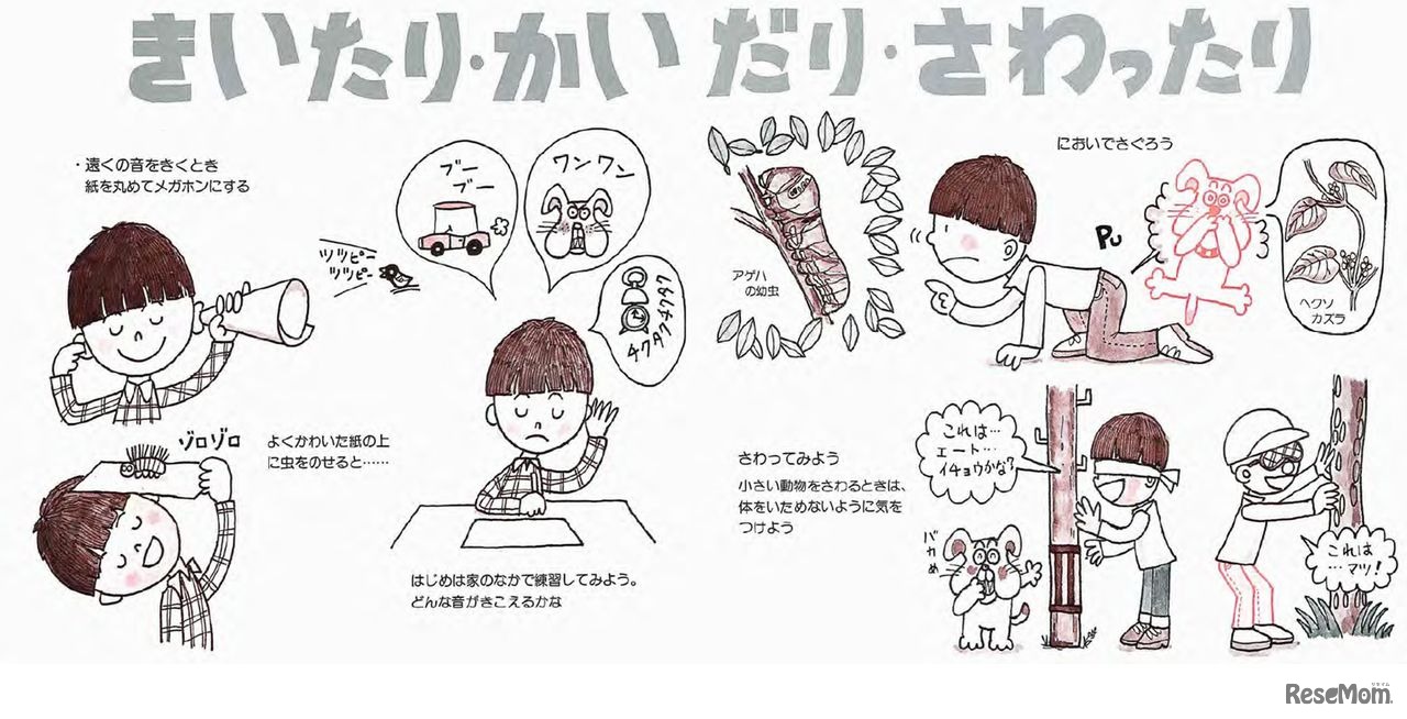 特設サイトコンテンツ