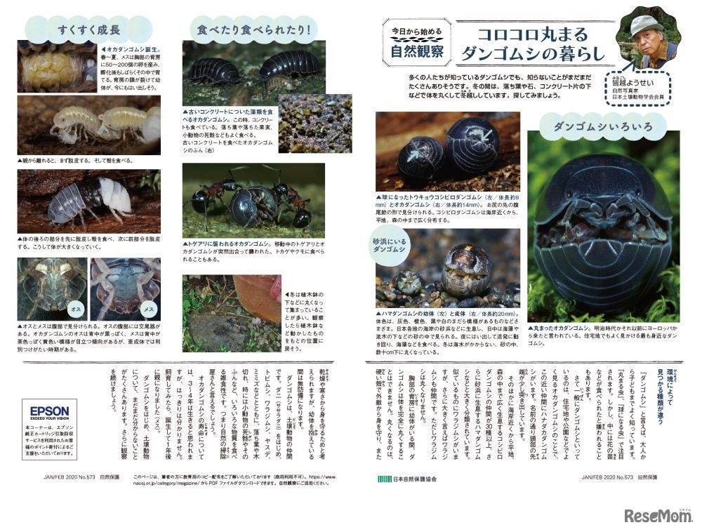 特設サイトコンテンツ