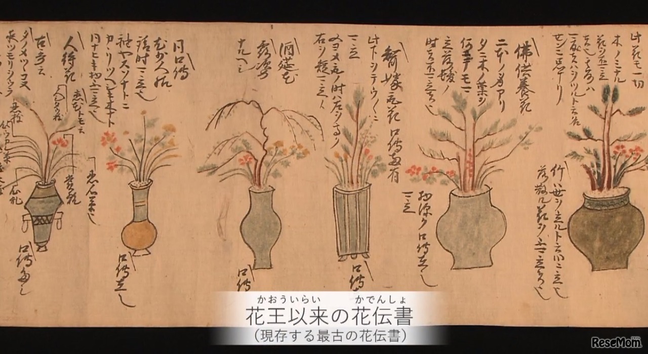 史料に基づき華道の発展を紹介