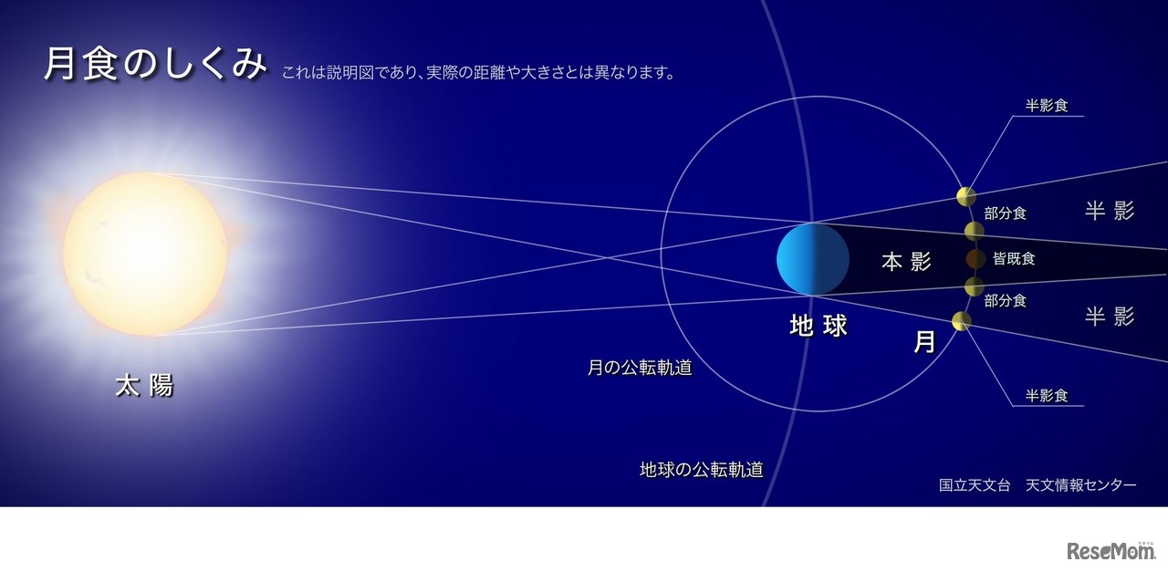 月食の仕組み　（c） 国立天文台 天文情報センター