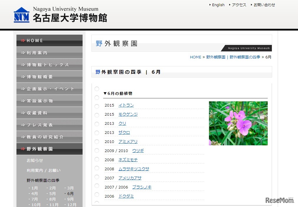 野外観察園の四季