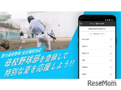 夏の高校野球　全出場校対応