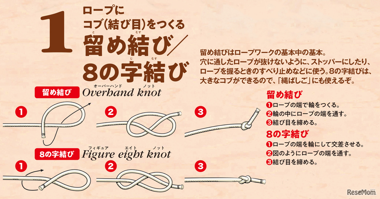 「子供の科学 2020年6月号」